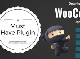 WooCommerce Downloadable Product Update E-mails