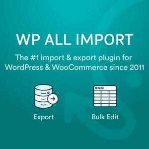 WP All Import & Export + Addons