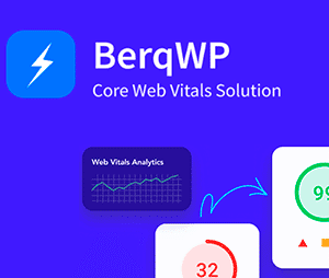 BerqWP – Automatic All-In-One PageSpeed Optimization Plugin